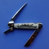 Scrimshaw CSS Virginia marlinspike pocketknife