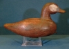 Back Bay Style Ruddy Duck by Gentry Childress