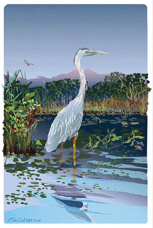 "Great Blue Heron," Digital Serigraph Print by Sam LaFever