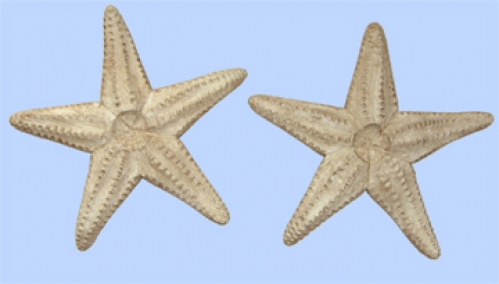 "Small Starfish" folk art carving by J & P Johnson -- 16x16"