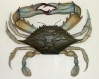 &quot;Chesapeake Bay Blue Crab&quot; folk art carving by J P Johnson -- width 42&quot;
