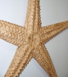 Large carved wood starfish by Jac & Patricia Johnson