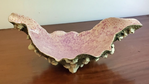 Porcelain Barnacle Bowl by Kevin Collins
