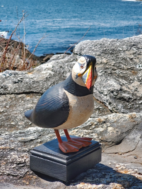 Standing Atlantic Puffin on Stand