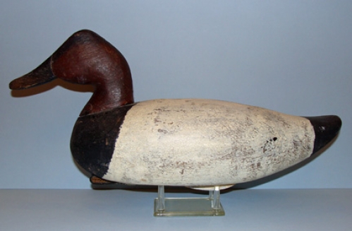 Back Bay style Canvasback Decoy by Gentry Childress