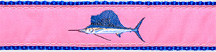 Pink Sailfish