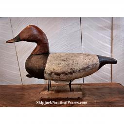 Currituck Canvasback Decoy by Gentry Childress