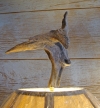 Natural Cedar Driftwood Lamp finial