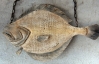 Flounder Trade Sign- Wood Carving by J P Johnson, Back View