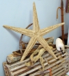 Large carved wood starfish by Jac & Patricia Johnson 
