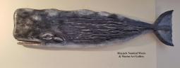 Large Carved Wood Sperm Whale by John Shaw