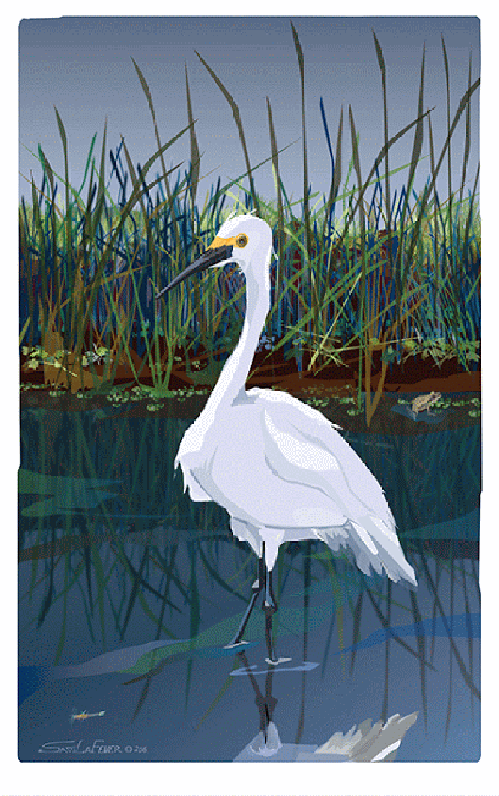 "Snowy Egret," Digital Serigraph Print by Sam LaFever