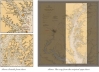 Nautical Chart Scarf - Northern Chesapeake Bay: Baltimore and Annapolis south to Hooper Island