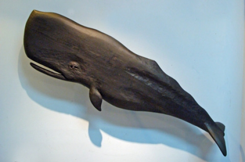 "Large Leaping Black Whale" folk art carving by J & P Johnson -- length 42"