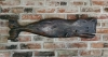 New England Folk Art Whimsical Carved Wood Sperm Whale Wall Sculpture