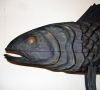 Bluefish Weathervane Wood Carving by J P Johnson, closeup