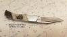 Scrimshaw Bone Lock-back Pocket Knife