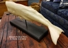 Full-bodied Sperm Whale" folk art carving