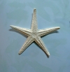 Carved and painted starfish by Jac &amp; Patricia Johnson.